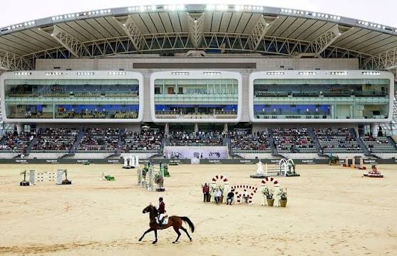 Razboiul a bulversat lumea ecvestra Povestea evacuarii impresionante a celor 147 de cai valorosi din Qatar