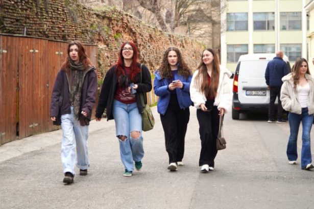 Simularea la Limba Romana i a surprins pe elevii sibieni Nu ma asteptam sa pic Barbu video