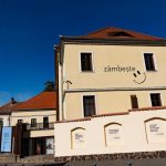 Teatrul Gong din Sibiu eveniment special dedicat copiilor cu ocazia Zilei Sindromului Down