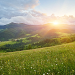 Vremea s a actualizat pentru urmatoarele 2 saptamani se vor inregistra si 17 grade in termometre