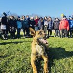 Ziua Portilor Deschise la Centrul Chinologic din Sibiu Demonstraii cu caini dresati vor fi prezentate