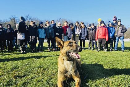 Ziua Portilor Deschise la Centrul Chinologic din Sibiu Demonstraii cu caini dresati vor fi prezentate
