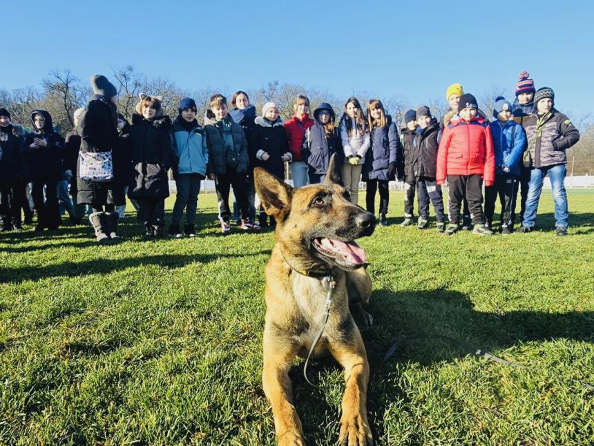 Ziua Portilor Deschise la Centrul Chinologic din Sibiu Demonstraii cu caini dresati vor fi prezentate