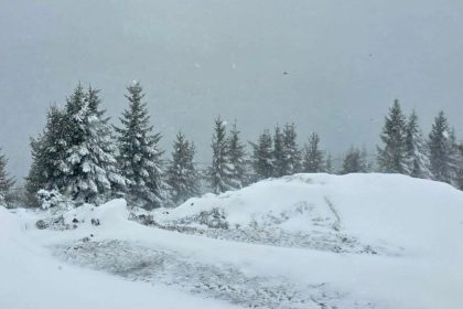 cod portocaliu de ninsori si vant intens in mai multe judee la sibiu este cod galben