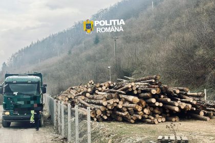 controale in gura raiului si cristian 180 de metri cubi de lemn confiscat