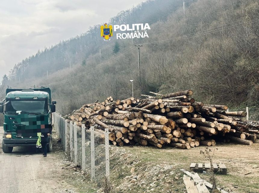 controale in gura raiului si cristian 180 de metri cubi de lemn confiscat