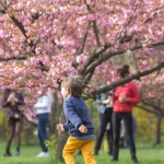 cum va fi vremea de paste in 2026 anm anunta temperaturi mai reduse decat cele obisnuite