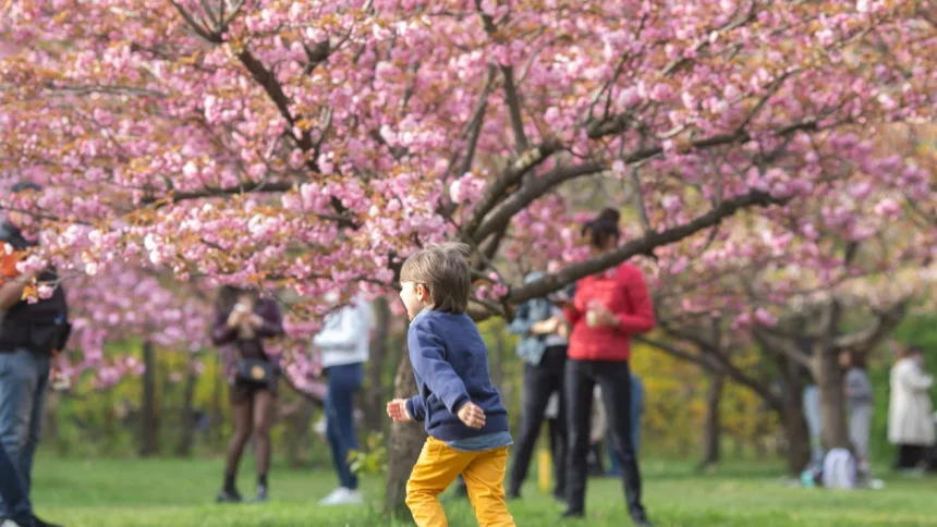 cum va fi vremea de paste in 2026 anm anunta temperaturi mai reduse decat cele obisnuite