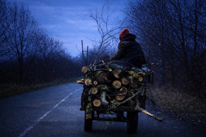 doi tineri surprinsi in timp ce sustrageau lemne dintr o padure din brateiu