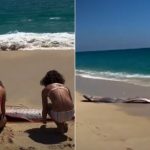 fenomen rar pestis apocalipsei esuati pe o plaja turistii afirma ca este un semn rau video