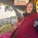 leurda vedeta primaverii in piata cibin comerciantii ofera si retete pentru spanac si verdeturi foto