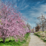 prognoza meteo pentru primele 2 saptamani din martie vremea variaza in functie de regiune