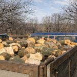 sase barbati surprinsi cu lemne furate din padurea de la mohu