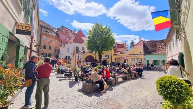 stadiul proiectelor propuse de sibieni in cadrul programului de bugetare participativa oaza urbana intr o piazet din oras si sute de copaci plantati