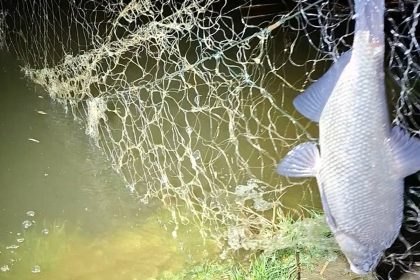 Braconieri surprinsi pe Olt la Avrig au fugit la vederea politiei