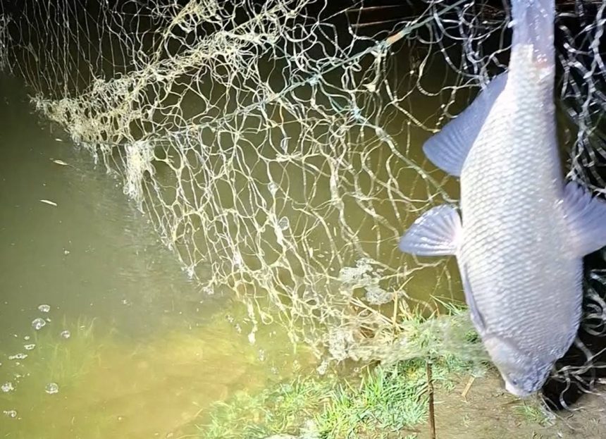 Braconieri surprinsi pe Olt la Avrig au fugit la vederea politiei