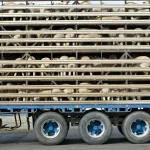 Romania se pregateste pentru exporturi record peste 1 milion de oi vor fi trimise intr o tara din Africa