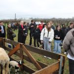 peste 800 de elevi de la zece licee din sibiu descopera agricultura sustenabila la ferma rusciori in cadrul proiectului edu lab farm 2026