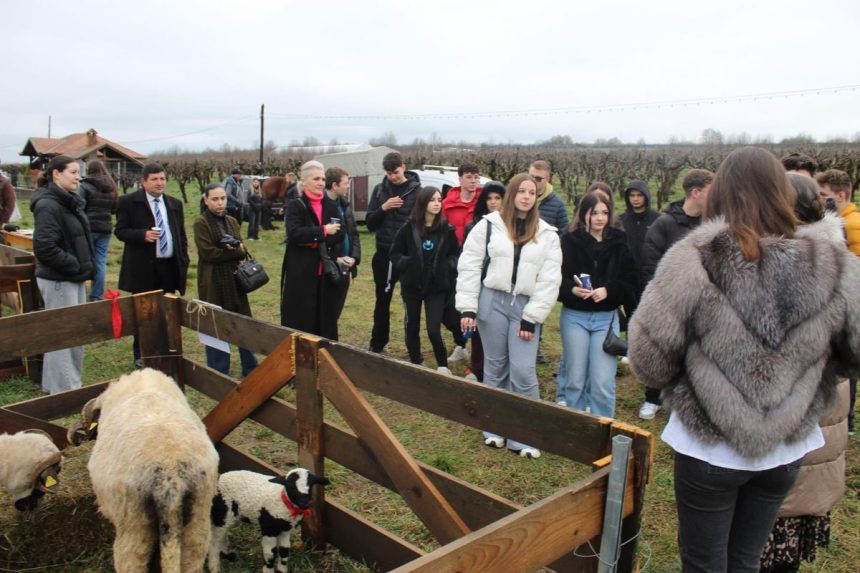 peste 800 de elevi de la zece licee din sibiu descopera agricultura sustenabila la ferma rusciori in cadrul proiectului edu lab farm 2026
