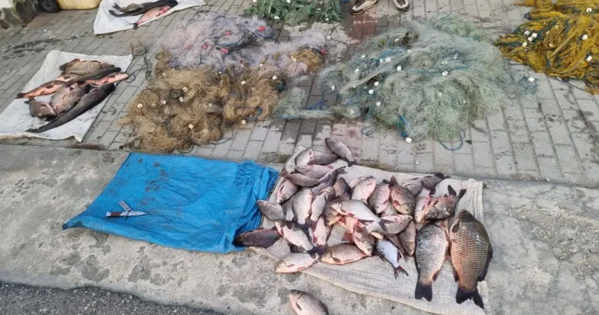 Braconieri prinși în flagrant pe lacul de acumulare de la Arpașu, după 20 de ore de pândă