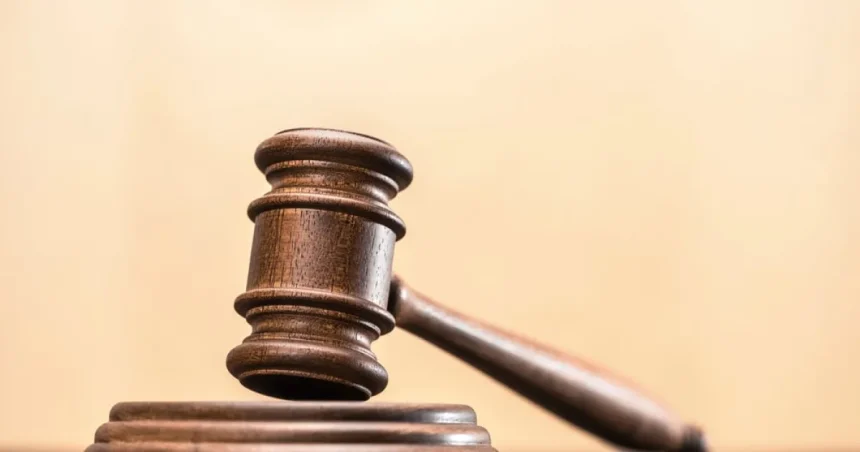 Crimă la Cenei: un adolescent, 15 ani de detenție și daune de peste 1 milion de euro