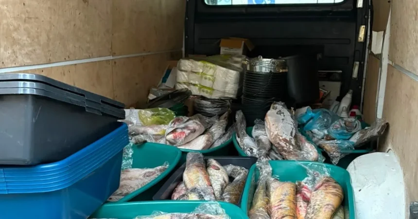 Femeie din Sibiu, depistată pe malul Dunării cu peste 200 de kilograme de pește braconat