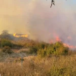 Incendiu de vegetație la Șeica Mare: pompierii au salvat o casă cuprinsă de flăcări