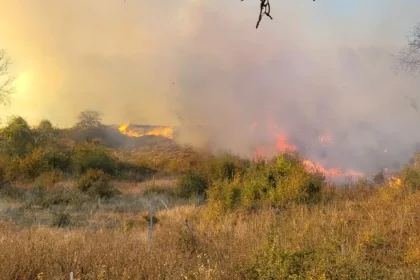 Incendiu de vegetație la Șeica Mare: pompierii au salvat o casă cuprinsă de flăcări