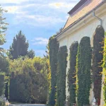 Palatul Brukenthal Avrig, după toxiinfecții: „Suntem profund afectați”