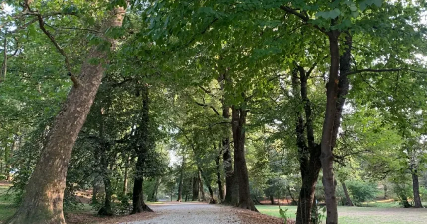 Parcul Sub Arini, aproape de șantier: certificat de urbanism, lucrări în două secțiuni