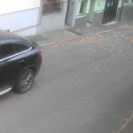 Poliția animalelor, autosesizare după imagini cu o pisică lovită de mașină în Sibiu