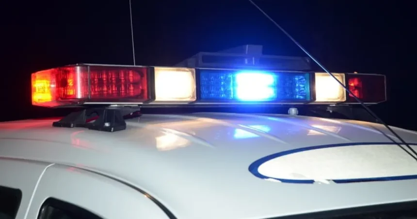 Tragedie pe DN7: șoferiță de 21 de ani a murit într-un accident cu tir și dubă
