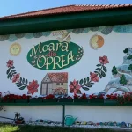 Ultima moară de apă din Cârțișoara: povestea omului care a salvat-o