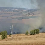 10 hectare de vegetație uscată, mistuite de flăcări la Copșa Mică
