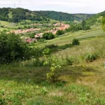 1.100 de hectare de la fostele IAS-uri din Sibiu, scoase la licitație pentru vii și livezi