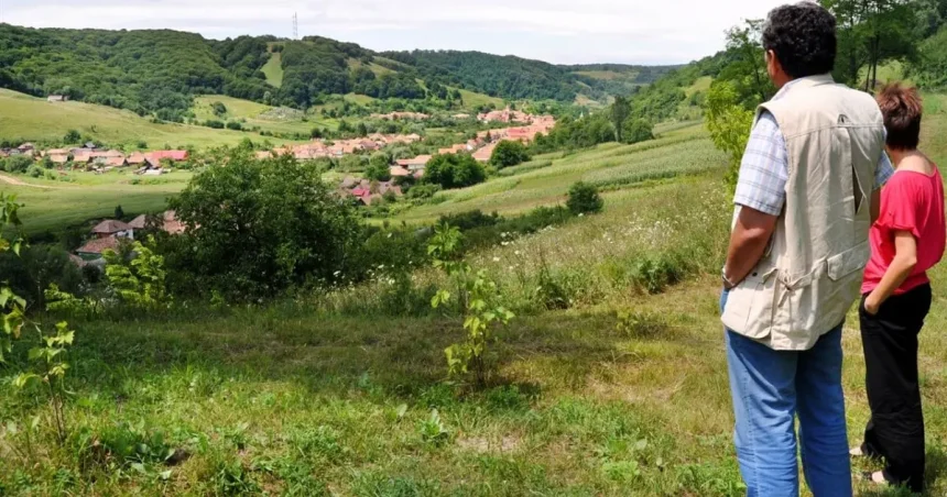1.100 de hectare de la fostele IAS-uri din Sibiu, scoase la licitație pentru vii și livezi