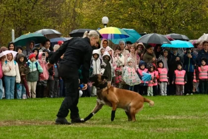 Câinii polițiști au demonstrat pentru 1.400 de elevi din Sibiu