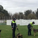 Copiii pot vedea cum sunt pregătiți câinii polițiștilor, pe 13 și 22 octombrie