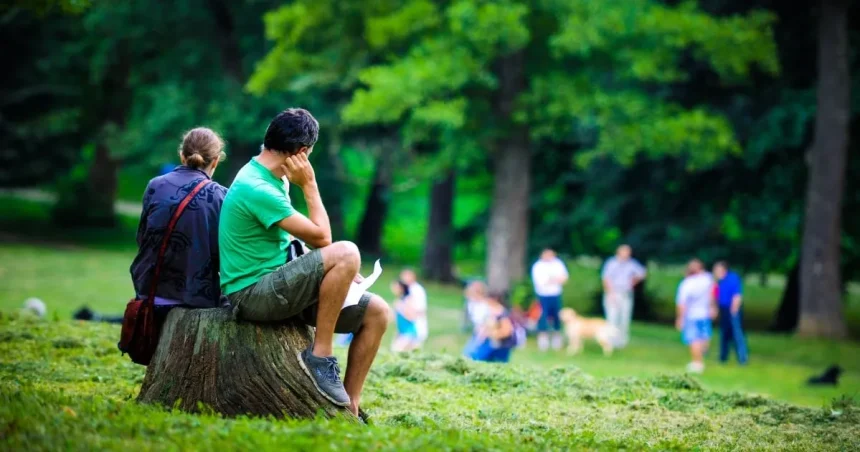 Dezbatere în CL despre păsările moarte din Parcul Sub Arini și zgomotul concertelor