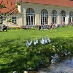 Doi angajați cu stafilococ, în cazul toxiinfecției de la Palatul Brukenthal Avrig