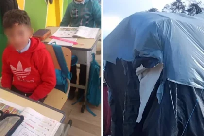Doi frați din Brădeni strâng 3.800 de euro ca să nu ierneze într-un cort