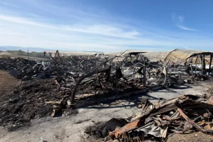 Incendiu lichidat la stația de sortare din Rusciori. Cauza, încă necunoscută