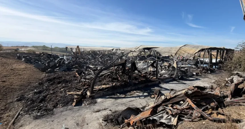 Incendiu lichidat la stația de sortare din Rusciori. Cauza, încă necunoscută