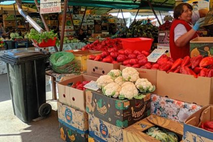 Licitație pentru spații libere din piețele agroalimentare Sibiu și comerț stradal