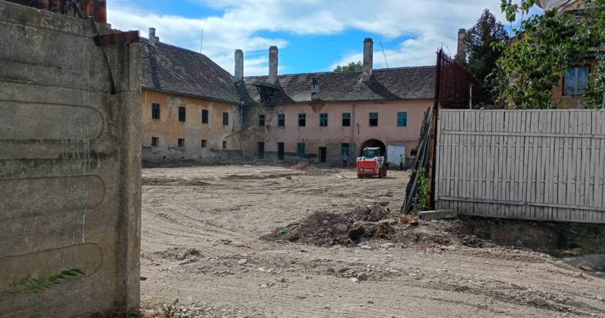 Lucrări la fostul Orfelinat „Maria Tereza”: beton și vegetație, îndepărtate