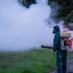 Primăria Sibiu anunță ultima dezinsecție din acest an împotriva căpușelor, miercuri și joi
