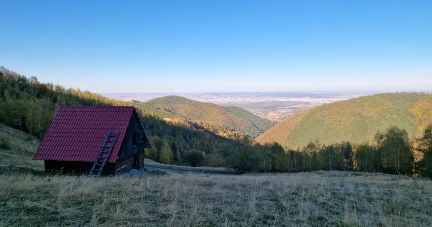 Rezumatul zilei de miercuri: reportaj la Rășinari și dosarul Viliginschi