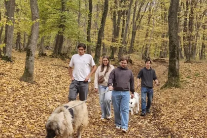 Studenții Erasmus din Sibiu strâng bani pentru Animal Life, plimbând câinii prin pădure