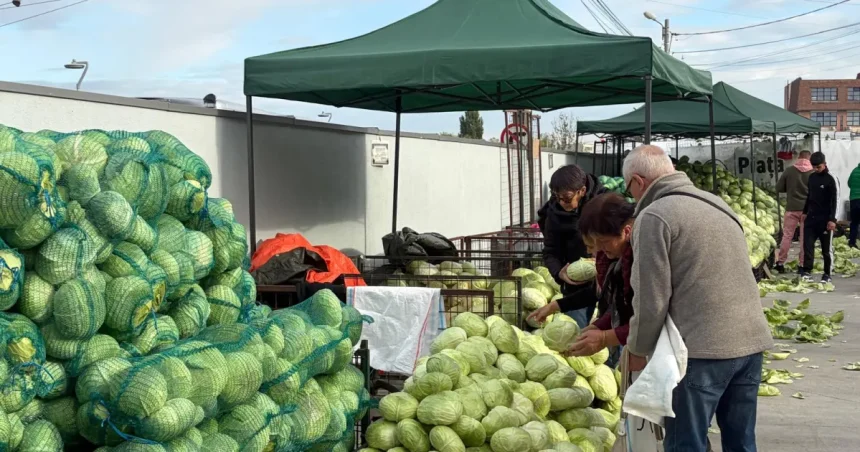 Varza din Sibiu, disponibilă până pe 10 noiembrie, la prețuri ca anul trecut