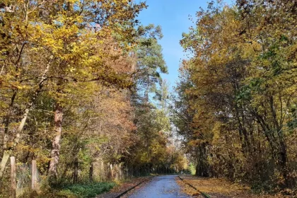 Vremea în Sibiu: 22 de grade la mijlocul săptămânii, apoi ploi și răcire spre weekend